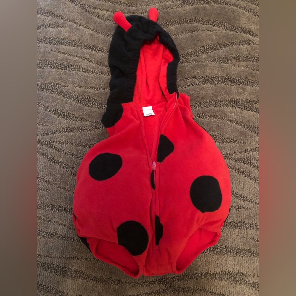 Carter’s Lady Bug Costume